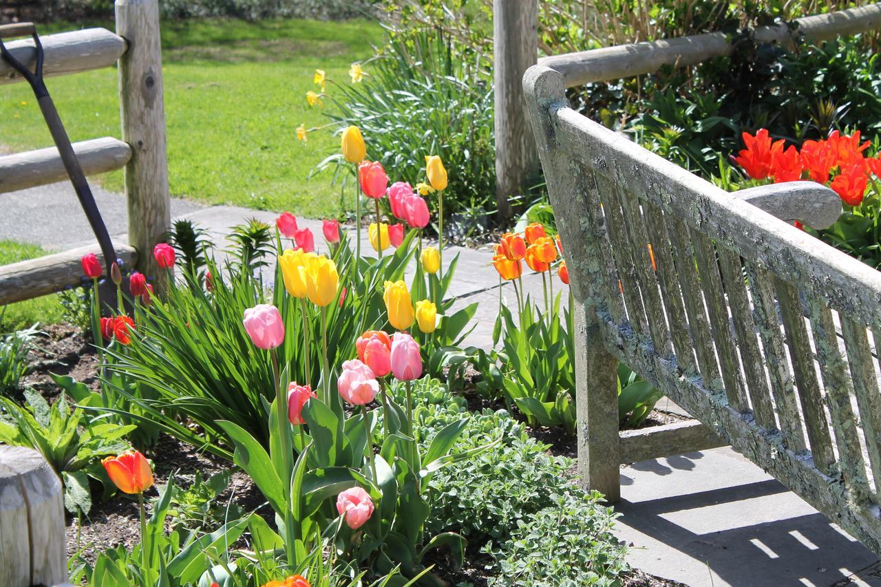 Lavender Bay Bed & Breakfast Barnstable Exterior photo